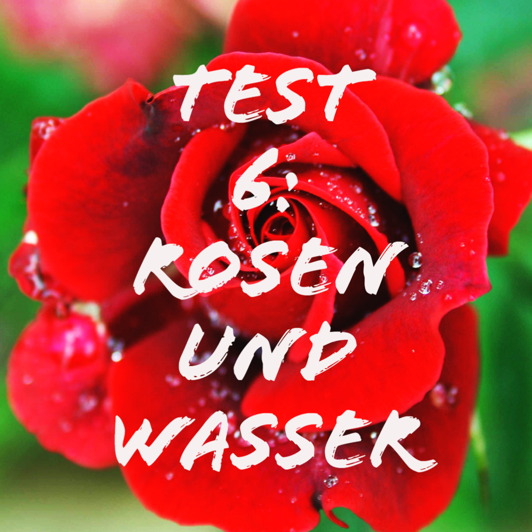 Rational? – Test 6: „Rosen und Wasser“